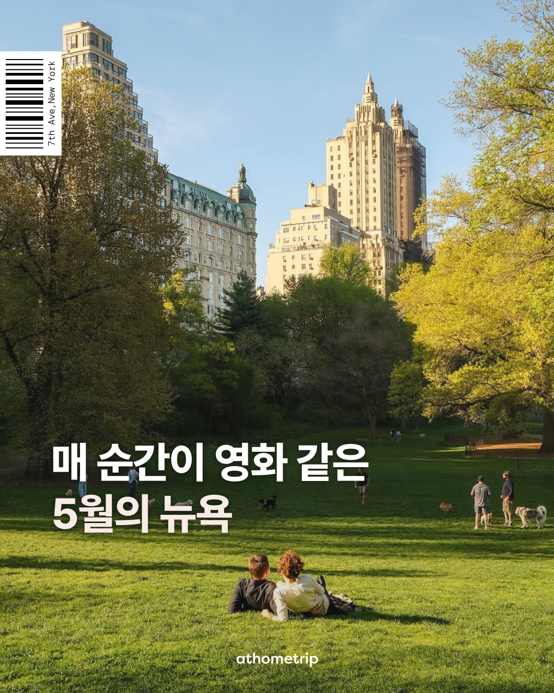 공원 잔디밭에 사람과 개가 있고 나무와 건물이 보이는 실외 장면