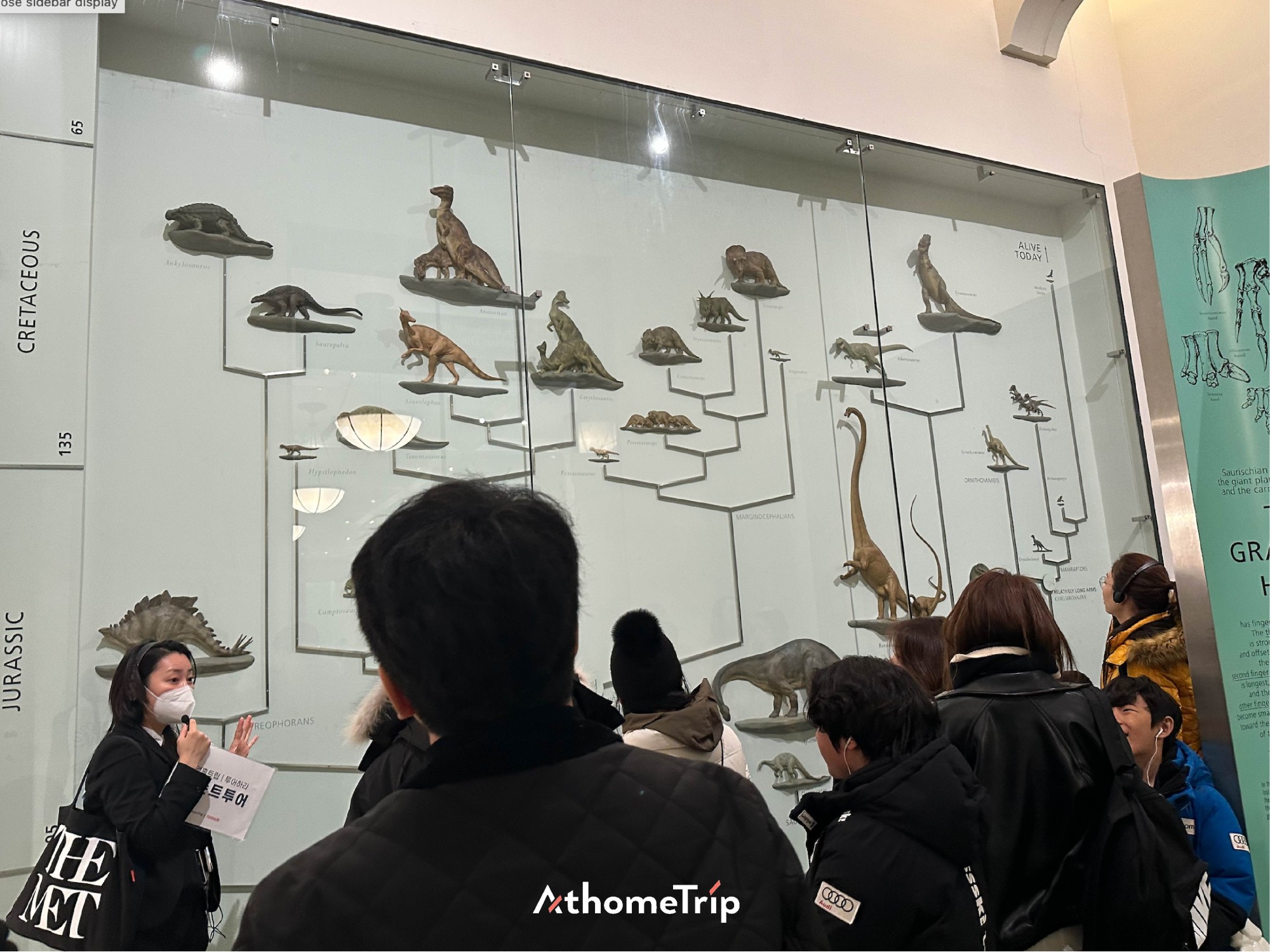 박물관 실내 전시대에 투명 패널로 보호된 표본이 전시되어 있는 장면