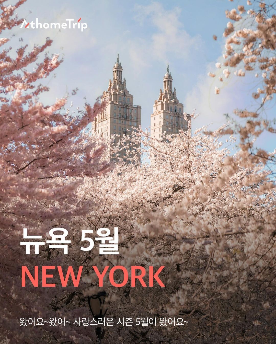 건물과 벚꽃이 보이는 실외 장면이며 NEW YORK 및 뉴욕 5월이라는 문구가 적혀 있습니다.