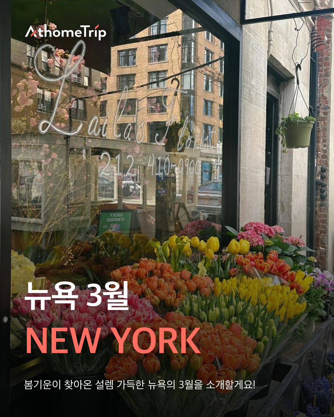 꽃집 유리창 너머로 보이는 다양한 꽃과 NEW YORK, 뉴욕 3월이라는 문구가 적힌 모습