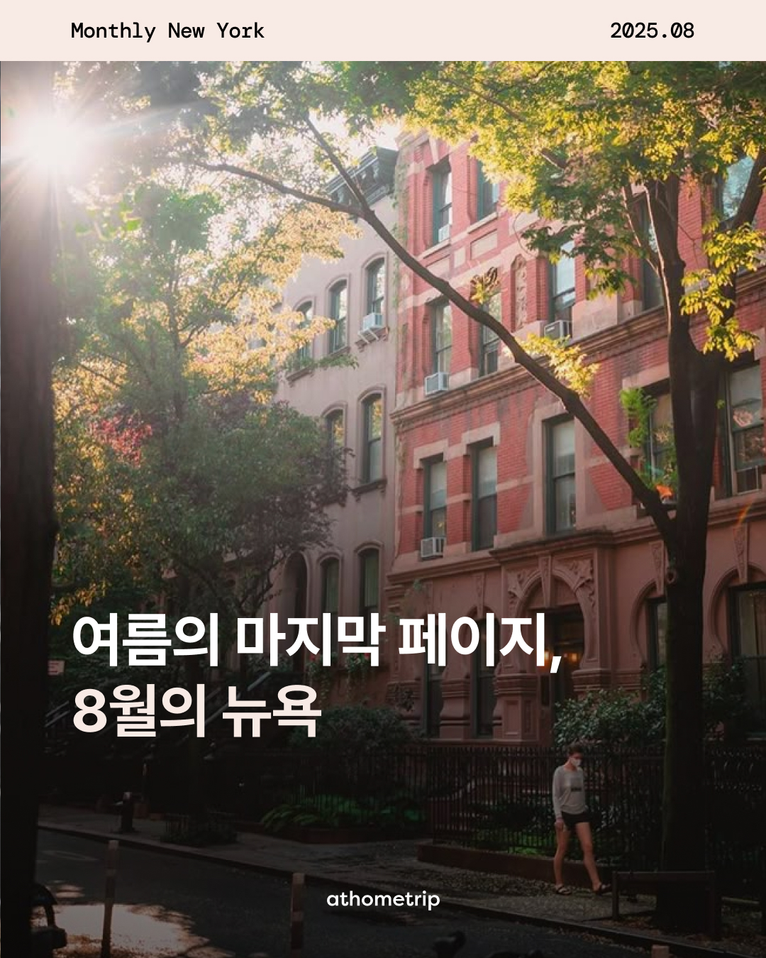 햇빛이 내리쬐는 실외 거리의 건물과 나무 모습
